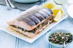 British Baked Salmon With Salsa Verde Recipe Appetizer