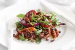 British Barbecued Octopus And Chorizo Salad Recipe Appetizer