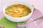 British Chicken And Corn Soup Recipe 7 Appetizer