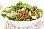 British Roast Pork Avocado And Spinach Salad Recipe Appetizer