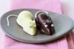 Australian Chocolate Mice Recipe 3 Dessert