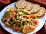 American Tuna and Green Bean Salad Appetizer