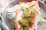 Australian Ovensteamed Salmon With Coconut Milk Dressing Recipe Appetizer