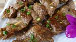 Canadian Asian Beef Skewers Recipe Appetizer