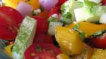 Canadian Fresh Tomato Salad Recipe Appetizer