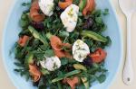 Australian Watercress Smoked Salmon And Egg Salad Recipe Appetizer