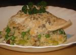 Australian Sea Perch on a Bed of Risotto With a Morel Sauce Dinner