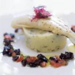 Australian Grilled Halibut Puree the Celery with Concasse from Tomatoes Plums by and Basil Appetizer