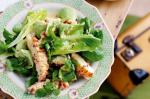 Australian Moreton Bay Bug and Avocado Salad Recipe Appetizer