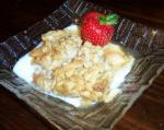 American Vermont Apple Crisp Dessert