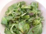 Australian Mangia Mangia Balsamic Vinaigrette on Baby Greens Appetizer