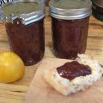 British Simple Jam Yellow Plums to the Slow Cooker Dessert