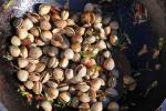 Australian Stirfried Baby Clams with Saltbush and Samphire Appetizer