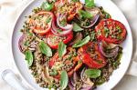 American Eggplant Puree With Tomato And Lentil Salad And Pistou Recipe Appetizer