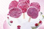 Canadian Frozen Yoghurt Lollipops Recipe Dessert