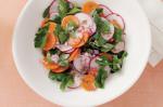 Canadian Middle Eastern Carrot and Radish Salad Recipe Dessert