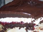 German Fudgy Chocolate Layer Cake With Raspberry Chambord Whipped Cream Dessert