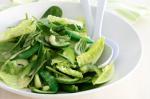 Canadian Green Garden Salad Recipe 1 Appetizer