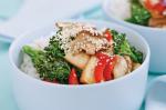 Canadian Marinated Tofu And Shiitake Mushroom Stir Fry Recipe Appetizer