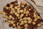 French Toasted Hazelnuts Appetizer