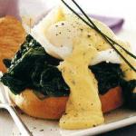 French Florentine Eggs 2 Appetizer