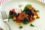 French Ratatouille With Poached Egg Recipe Appetizer