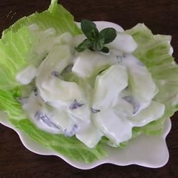 Arabic Cucumber And Yogurt Salad Recipe Appetizer