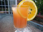 American Schuylkill River Punch Appetizer