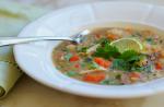 Indian Spiced Red Lentil and Chicken Soup  Once Upon a Chef recipe