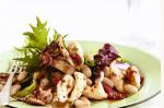 Calamari And Cannellini Bean Salad With Tomatocaper Dressing Recipe recipe