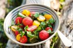 British Tomato And Watermelon Salad Recipe 1 Appetizer