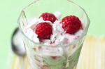 British Raspberry Meringue Crush Dessert