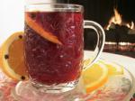 British Fireside Cranberry Pomegranate Spiced Cider Dessert