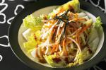 Japanese Wombok Salad With Sesame Dressing Recipe Appetizer