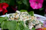 American Basil Scented Chicken Salad Dinner