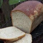 French Herb Bread Recipe Appetizer