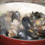 French Steamed Mussels and Clams Drink