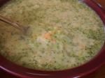 American Cream of Broccoli Soup but Lower Fat Appetizer