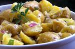 British Barefoot Contessas Herb Potato Salad Appetizer