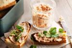 French Salmon Rillettes Recipe 1 Appetizer
