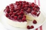 American Raspberry Swirl Icecream Cake Recipe Dessert