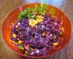 American Red Cabbage Coleslaw 4 Appetizer