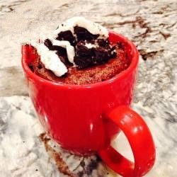 Mexican Chocolate Mug Cake Appetizer