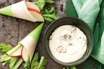 Blue Cheese Dip With Apple And Celery Recipe recipe