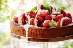 Rich Chocolate Cake With Strawberries And Minted Sugar Recipe recipe