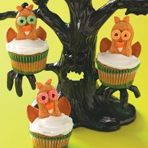 Australian Wideeyed Owl Cupcakes Dessert