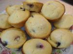 American Blueberry Lemon Muffins 5 Dessert
