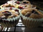 American Blueberry Muffins 87 Dessert