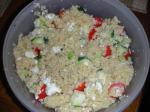 American Zesty Greek Couscous Salad Dinner