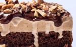 Chocolate Coffeealmond Crunch Ice Cream Cake with Ganache Recipe recipe